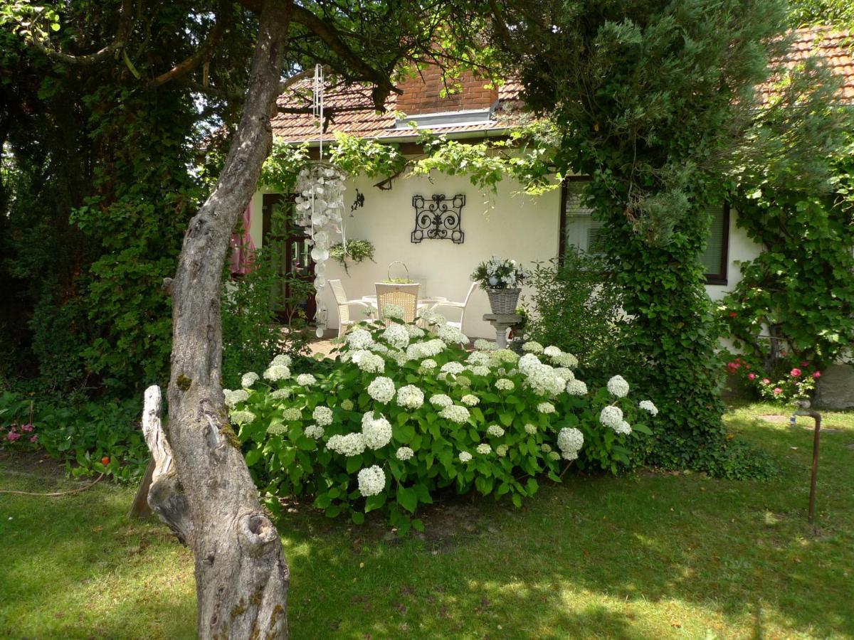 Gemuetliches Gaestehaus Bohnsdorf, Naehe Flughafen Schoenefeld Vakantiehuis